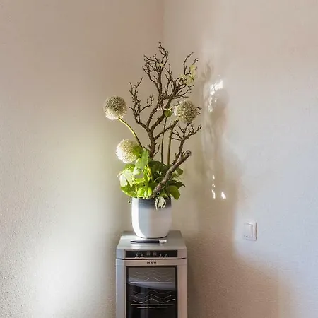 Preni Apartment *